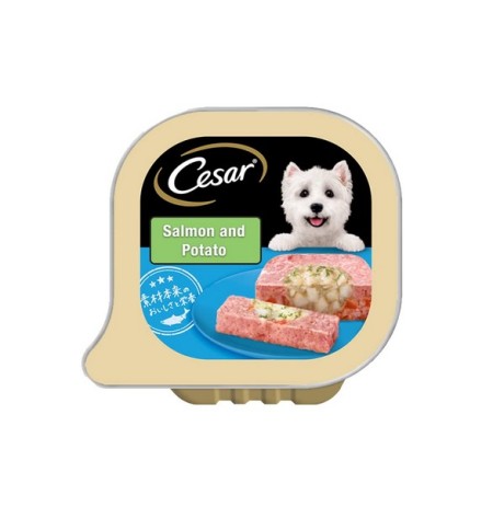 Cesar Wet Food For Adult Dogs Salmon And Potato Flav 100g(min.buy 6pc)